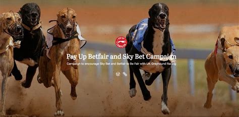 skybet greyhounds|Iba pa.